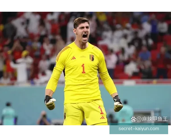 库尔图瓦世界杯表现回顾，状态稳健为球队贡献突出表现